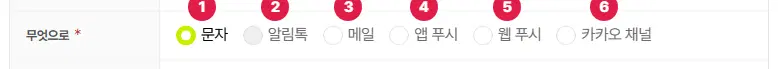 무엇으로 칸. 문자 1번(골라짐), 알림톡 2번(흐림), 메일 3번, 앱 푸시 4번, 웹 푸시 5번, 카카오 채널 6번입니다.