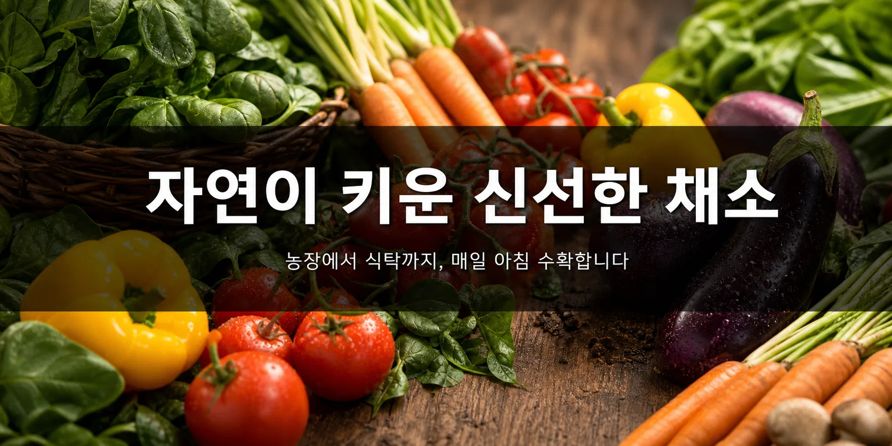 자연이 키운 신선한 채소 &mdash; 농장에서 식탁까지 매일 아침 수확하는 프리미엄 채소 홍보 배너